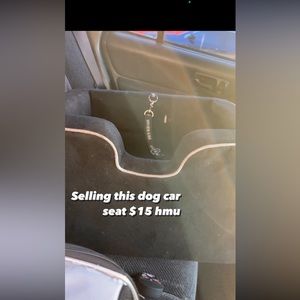 Doggie car seat